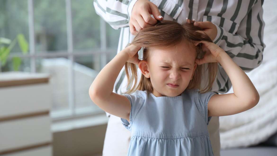 prodotti per pidocchi